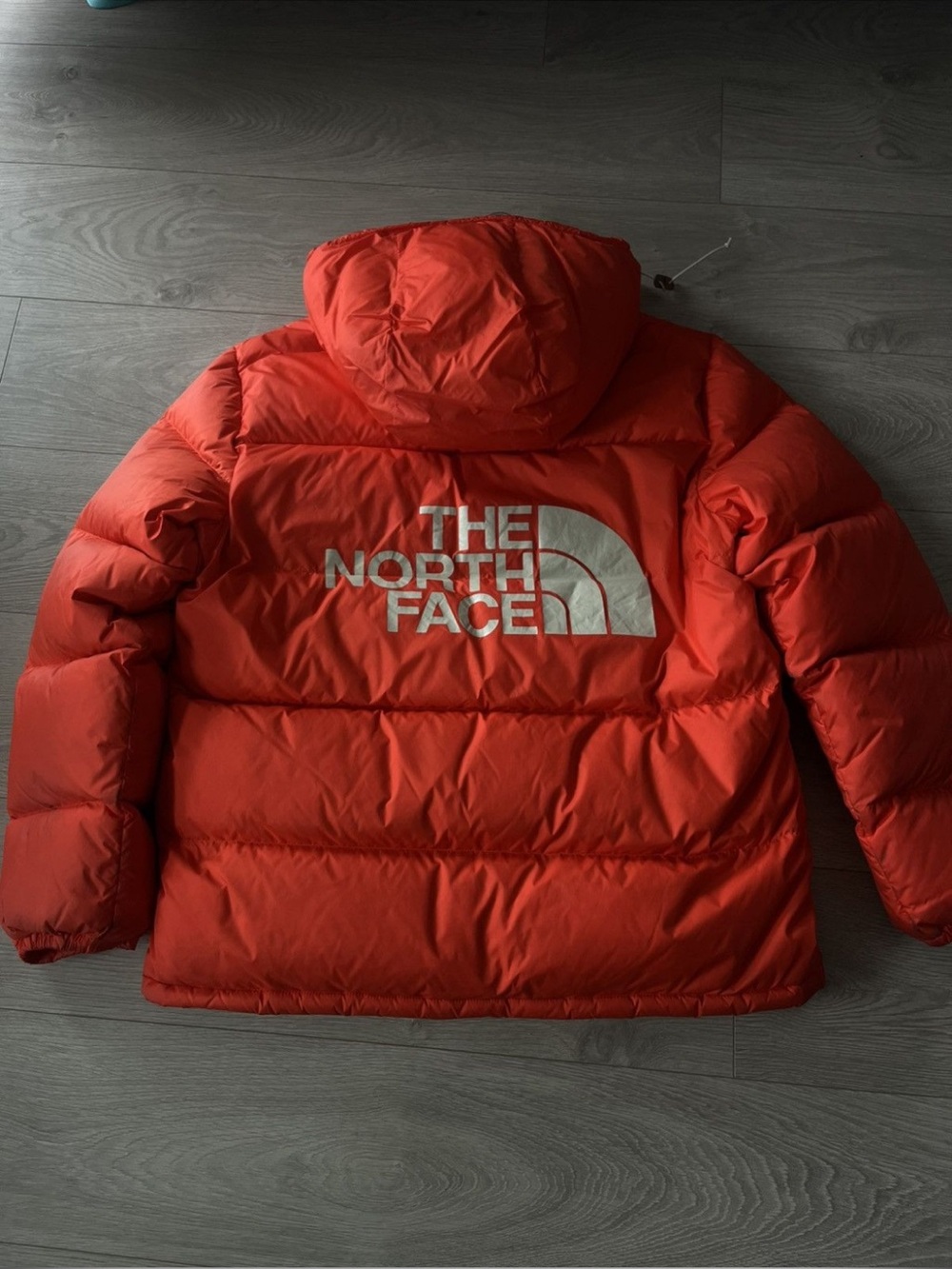 North Face 600 Fill Sierra Colorblock Down Puffer Jacket